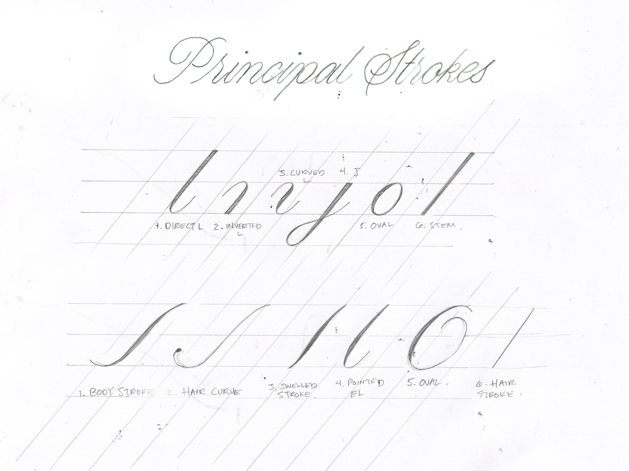 the principal strokes of english round hand